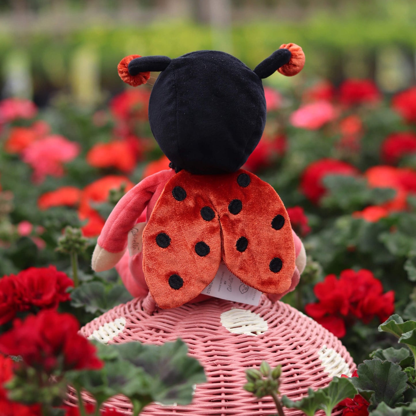 Dinky Dinkums Backyard Buddies | Lola Ladybug | Olli Ella PREORDER