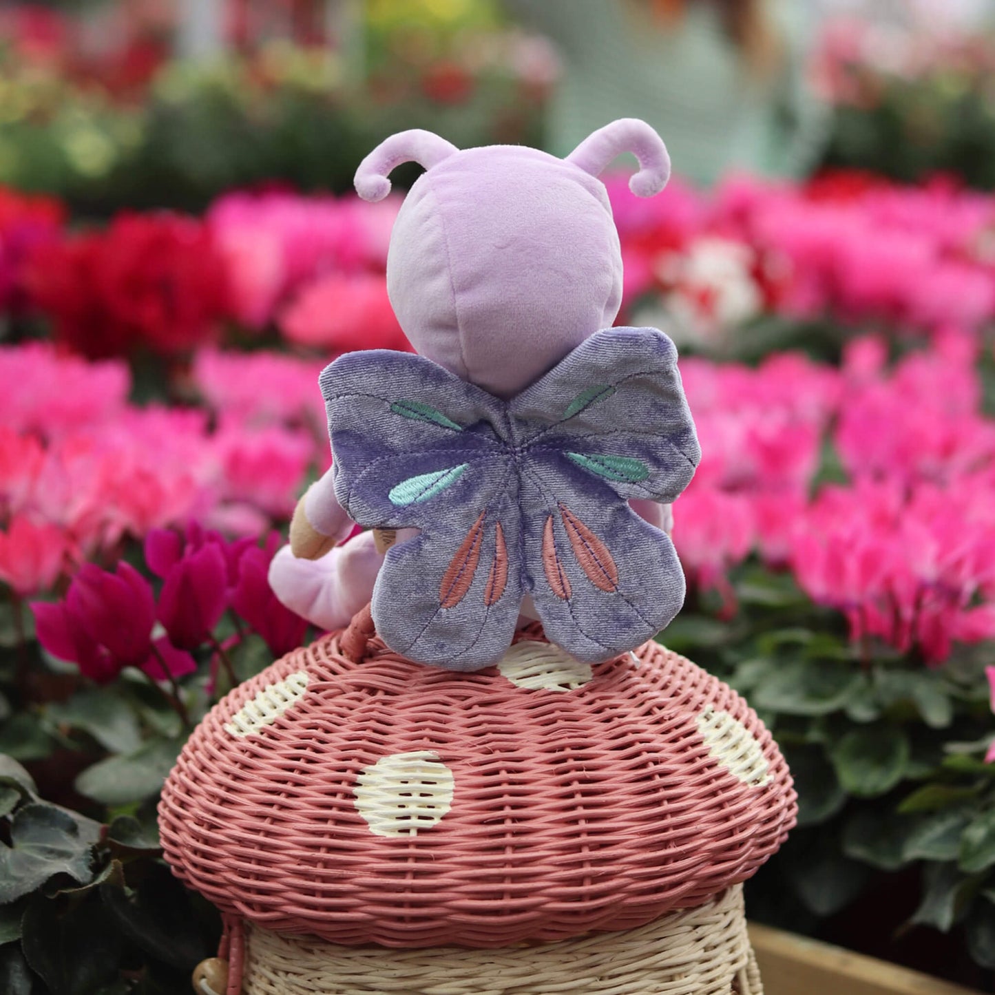 Dinky Dinkums Backyard Buddies | Betty Butterfly | Olli Ella PREORDER